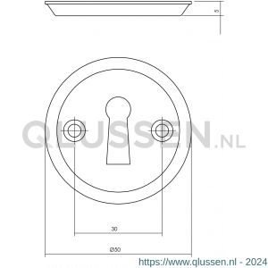 Intersteel Living 3173 sleutelplaatje diameter 50x5 mm messing nikkel mat 0019.317316