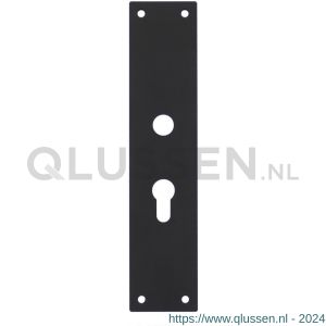 Intersteel Living 2688 schild renovatie rechthoekig 250x55 mm x 2 mm PC 55 mm RVS mat zwart 0023.268829