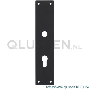 Intersteel Living 2688 schild renovatie rechthoekig 250x55 mm x 2 mm profielcilindergat 72 mm RVS-mat zwart 0023.268836