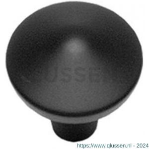Intersteel Living 8478 meubelknop punt rond 25 mm mat zwart 0023.847891