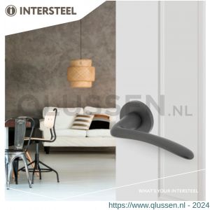 Intersteel Living 0466 deurkruk Zaia met geveerde kunststof rozet met nokken diameter 50x7 mm grijs 0029.046602