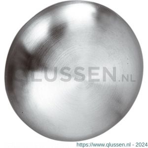 Intersteel 0610 knopkruk Paddenstoel RVS 0035.061000