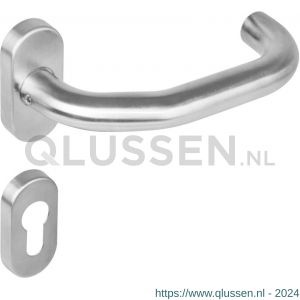 Intersteel Essentials 1236 deurkruk verkropt op rozet ovaal staal dubbel geveerd RVS met PC 0035.123605