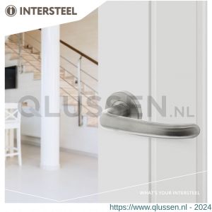 Intersteel Essentials 1282 deurkruk Sabel op geveerde stalen rozet met nokken diameter 53x8 mm RVS EN 1906/4 0035.128202