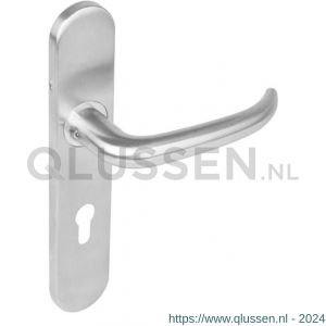 Intersteel Essentials 1294 deurkruk Sabel op verdekt schild profielcilindergat 72 mm met nokken 7 mm RVS EN 1906/4 0035.129436