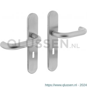 Intersteel Living 1295 deurkruk 1295 Rond op verdekt schild sleutelgat 56 mm met nokken 7 mm RVS EN 1906/4 klein krukgat 0035.129524