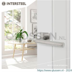 Intersteel Essentials 1850 deurkruk Hoek 90 graden vastdraaibaar geveerd op vierkante magneet rozet RVS 0035.185002