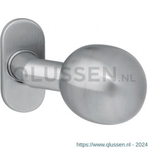 Intersteel 2165 knop bol-schuin vast op rozet ovaal 4 mm RVS 0035.216562