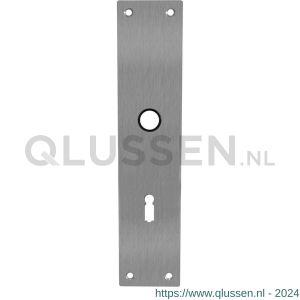 Intersteel 2688 schild renovatie rechthoekig 250x55 mm x 2 mm sleutelgat 72 mm RVS 0035.268826