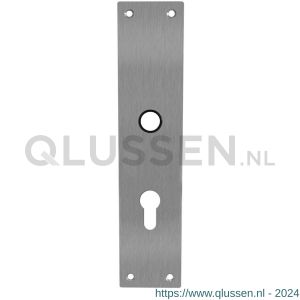 Intersteel 2688 schild renovatie rechthoekig 250x55 mm x 2 mm profielcilindergat 72 mm RVS 0035.268836