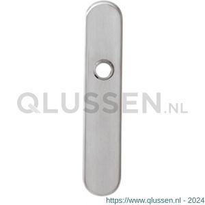 Intersteel 2696 schild verdekt 220x42 mm blind RVS 0035.269611