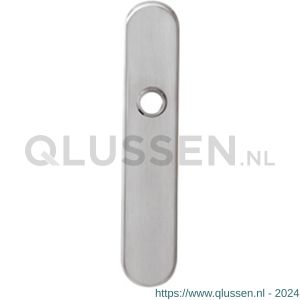 Intersteel 2696 schild verdekt 220x42 mm sleutelgat 56 mm RVS 0035.269624