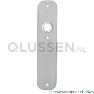 Intersteel 2698 schild plat 190x42x2 mm sleutelgat 56 mm RVS 0035.269824