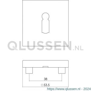 Intersteel Living 3510 sleutelplaatje staal verdekt met nokken vierkant 53x53x8 mm RVS 0035.351016