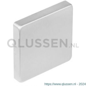 Intersteel 3510 afdekplaatje staal verdekt met nokken vierkant 53x53x8 mm RVS 0035.351019