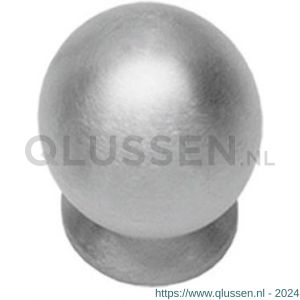 Intersteel Essentials 8510 meubelknop bolrond achterplaat diameter 20 mm RVS 0035.851020