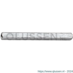 Intersteel 9752 stift beide zijden hol 100 mm 0099.975200