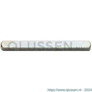 Intersteel 9756 volstift voor WC-slot 5x60 mm 0099.975680