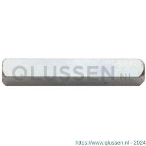 Intersteel 9756 volstift voor WC-slot 5x80 mm 0099.975681