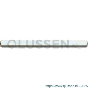 Intersteel 9756 volstift voor WC-slot 8x60 mm 0099.975682