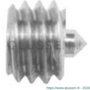 Intersteel 9904 inbusbout gepunt M6x5 mm voor kruk diameter 16mm 0099.990443