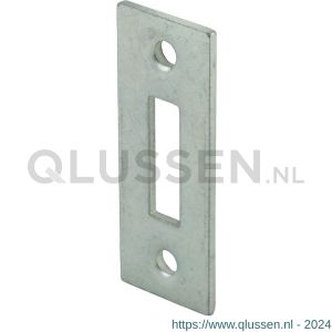 GB 7449910 plaatje 20x50 mm 2 mm elektrolytisch verzinkt 7449910.0001