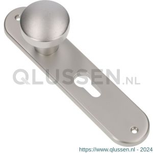 Ami 200/1/7 knoplangschild aluminium knop 169/50 vast langschild 200/1/7 PC 72 F1 322976