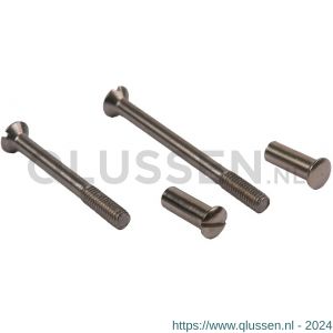 Ami patentschroef met zaagsnede RVS M5x55 mm voldraad set 10 stuks 900232