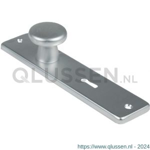 Ami 180/41 RH knopkortschild aluminium rondhoek knop 160/40 vast kortschild 180/41 RH sleutelgat SLG 56 F1 318812