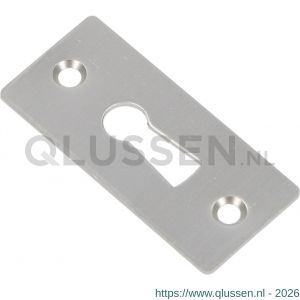 Ami 4 vlak sleutelrozet aluminium afdekplaatje sleutelgat F2 227032