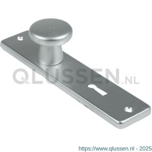 Ami 165/4 RH knopkortschild aluminium rondhoek knop 160/40 vast kortschild 165/4 RH sleutelgat SLG 56 F2 310102