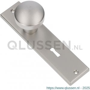 Ami 178/43 knopkortschild aluminium knop 169/50 vast kortschild 178/43 sleutelgat SLG 56 F1 322962