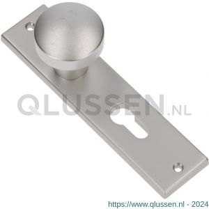 Ami 178/43 knopkortschild aluminium knop 169/50 vast kortschild 178/43 profielcilinder PC 55 F1 322964