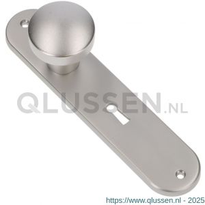 Ami 200/1/7 knoplangschild aluminium knop 169/50 vast langschild 200/1/7 sleutelgat SLG 56 F1 322972