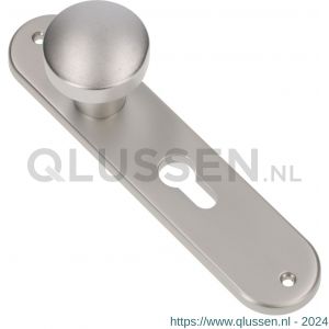 Ami 200/1/7 knoplangschild aluminium knop 169/50 vast langschild 200/1/7 profielcilinder PC 55 F1 322974