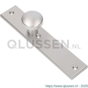 Ami 251/50/8 knoplangschild aluminium knop 169/50 vast langschild 251/50/8 blind R6,5 F1 323960