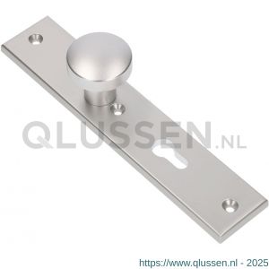 Ami 251/50/8 knoplangschild aluminium knop 169/50 vast langschild 251/50/8 profielcilinder PC 55 R6,5 F1 323964