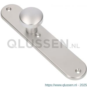 Ami 250/50/8/1 knoplangschild aluminium knop 169/50 vast langschild 250/50/1/8 blind R6,5 F1 323980