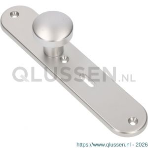Ami 250/50/8/1 knoplangschild aluminium knop 169/50 vast langschild 250/50/8/1 sleutelgat SLG 56 R6,5 F1 323982