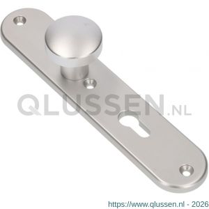 Ami 250/50/8/1 knoplangschild aluminium knop 169/50 vast langschild 250/50/8/1 profielcilinder PC 72 R6,5 F1 323986