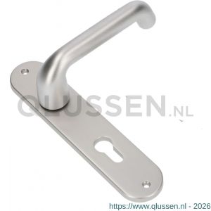 Ami LS 200/1/7-386 kruk-kruk garnituur deurkruk 386 Rota langschild 200/1/7 profielcilinder PC 55 F1 500342