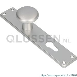 Ami 212/41 RH knoplangschild aluminium knop 160/50 vast langschild 212/41 RH rondhoek profielcilinder PC 72 F1 313796