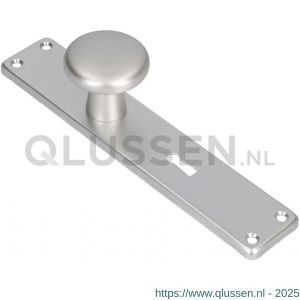 Ami 212/41 RH knoplangschild aluminium knop 160/50 vast langschild 212/41 RH rondhoek sleutelgat SLG 56 F1 313792