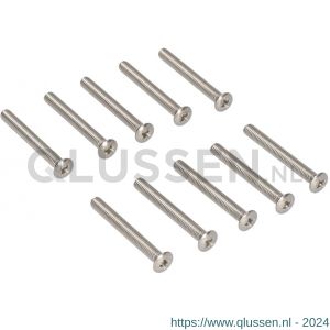 Ami patentschroef met zaagsnede RVS M6x53 mm voldraad set 10 stuks 900391