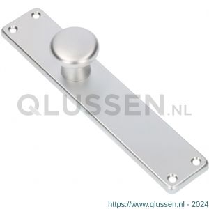 Ami 212/41 RH knoplangschild aluminium knop 160/50 vast langschild 212/41 RH rondhoek blind F2 313781