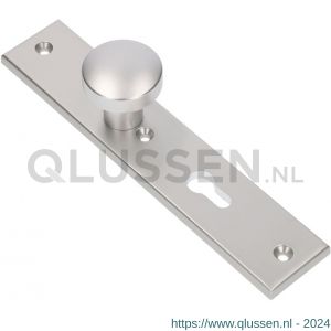 Ami 251/50/8 knoplangschild aluminium knop 169/50 vast langschild 251/50/8 PC 72 R6,5 F1 323966
