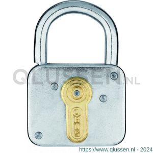 Abus hangslot gegalvaniseerd met verdek 235Z/50 KA 1 01757