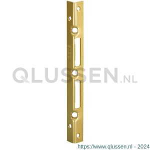 Abus veiligheids sluitplaat 20x25 SSB 400 SB 20 05538