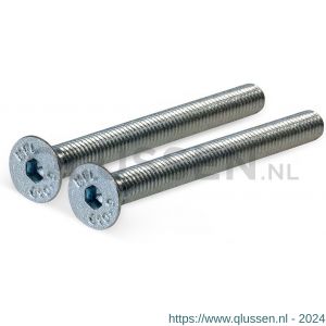 GPF Bouwbeslag AG0302 staal gegalvaniseerd bout DIN 7991 2x M5x50 mm voor veiligheids KT rozet tot deurdikte 44 mm gegalvaniseerd AG0302