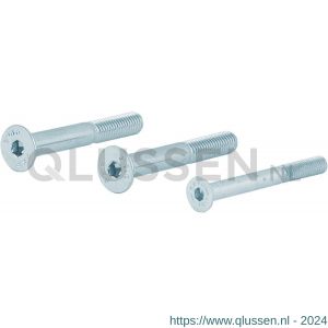 GPF Bouwbeslag AG0334 binnenzeskantbout PK DIN 7991 10.9 galvanisch verzinkt voor set veiligheids schilden tot deurdikte 54 mm 2x M8x60/1x M6x60 mm gegalvaniseerd AG0334